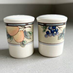 Mikasa Intaglio CAC29 Garden Harvest Classic Salt and Pepper Shakers Set